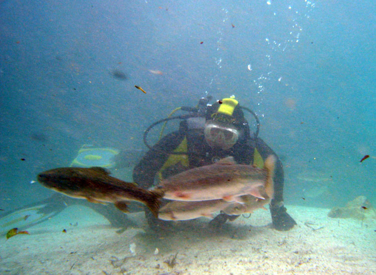 Immersione in fiume sloveno: trota marmorata ed altro...